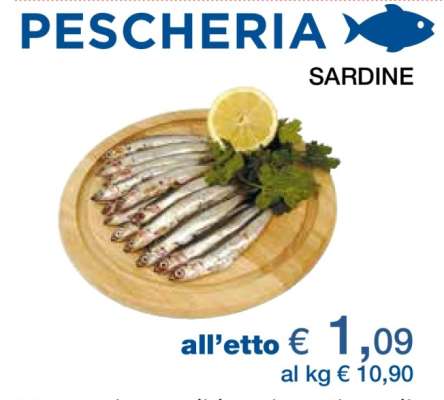 Sardine