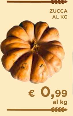 ZUCCA AL KG