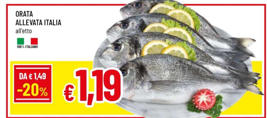 ORATA ALLEVATA ITALIA