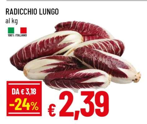 RADICCHIO LUNGO