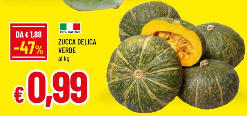 ZUCCA DELICA VERDE