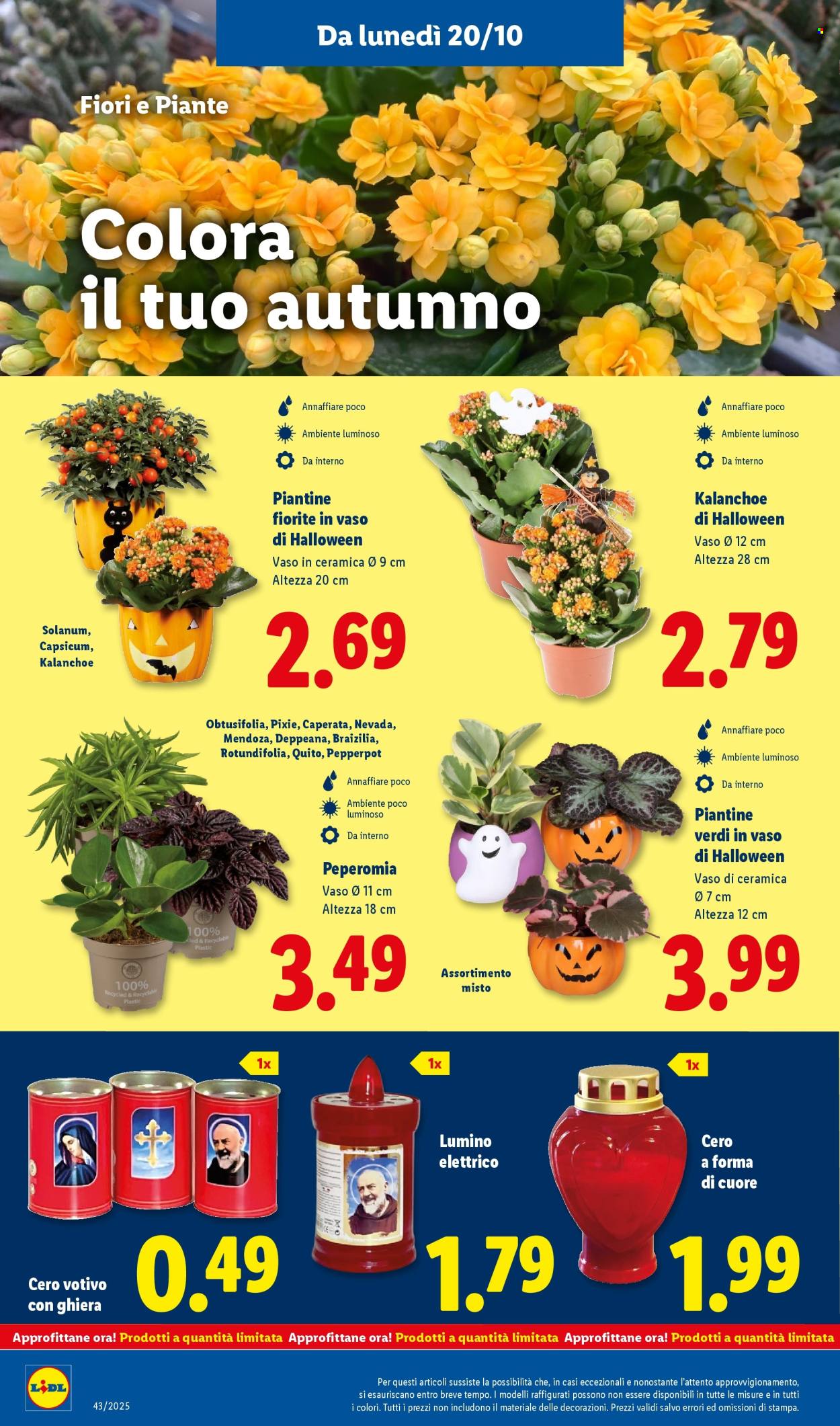 Volantino Lidl - 20/10/2025 - 26/10/2025. Pagina 40