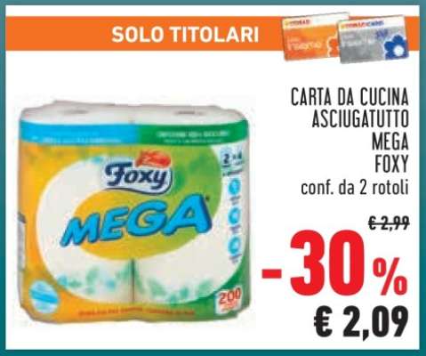 Carta da cucina asciugatutto Mega Foxy