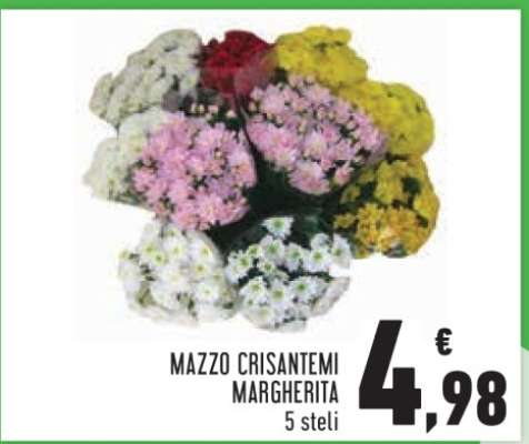 Mazzo Crisantemi Margherita