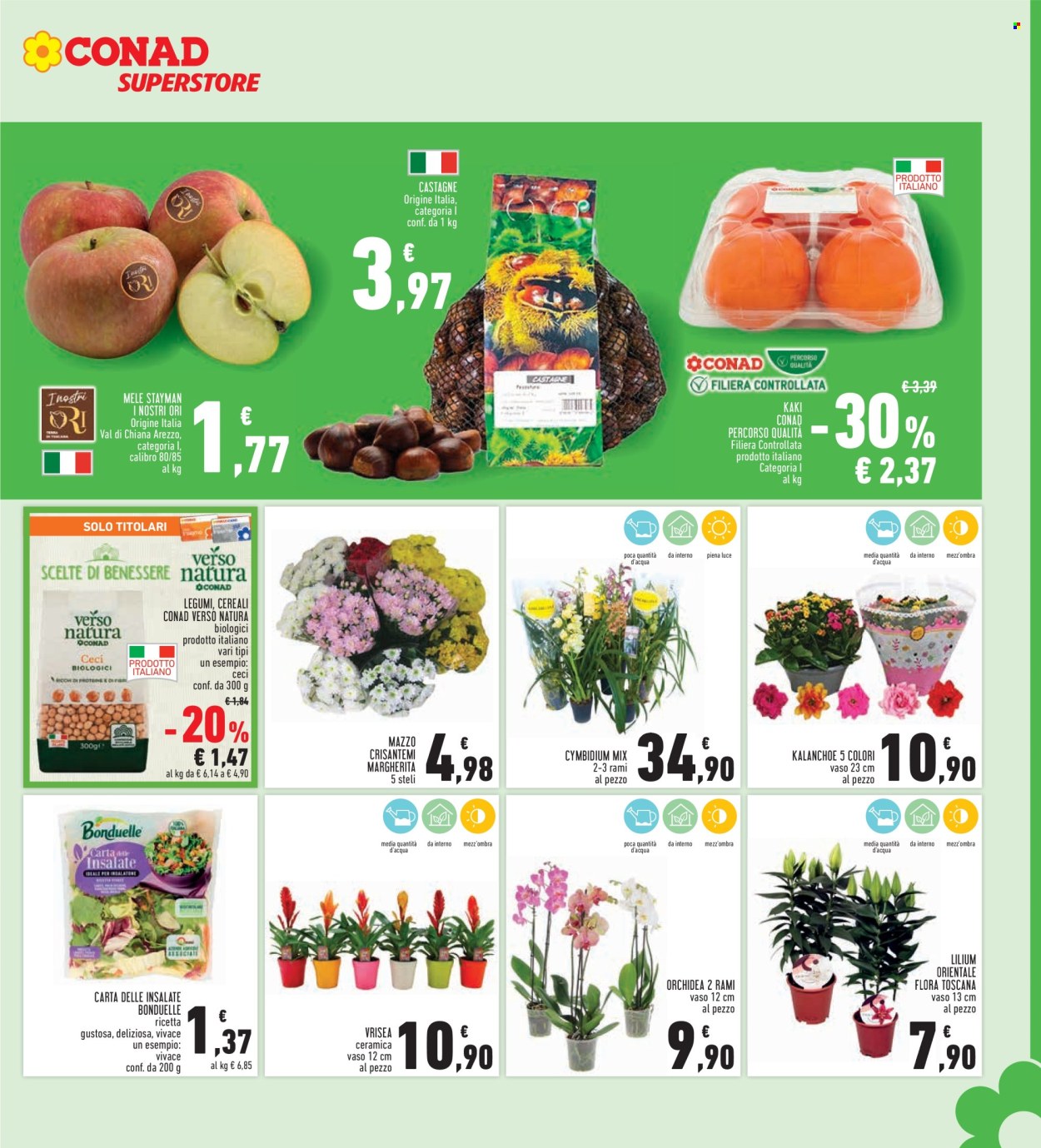 Volantino Conad - 23/10/2025 - 5/11/2025. Pagina 7