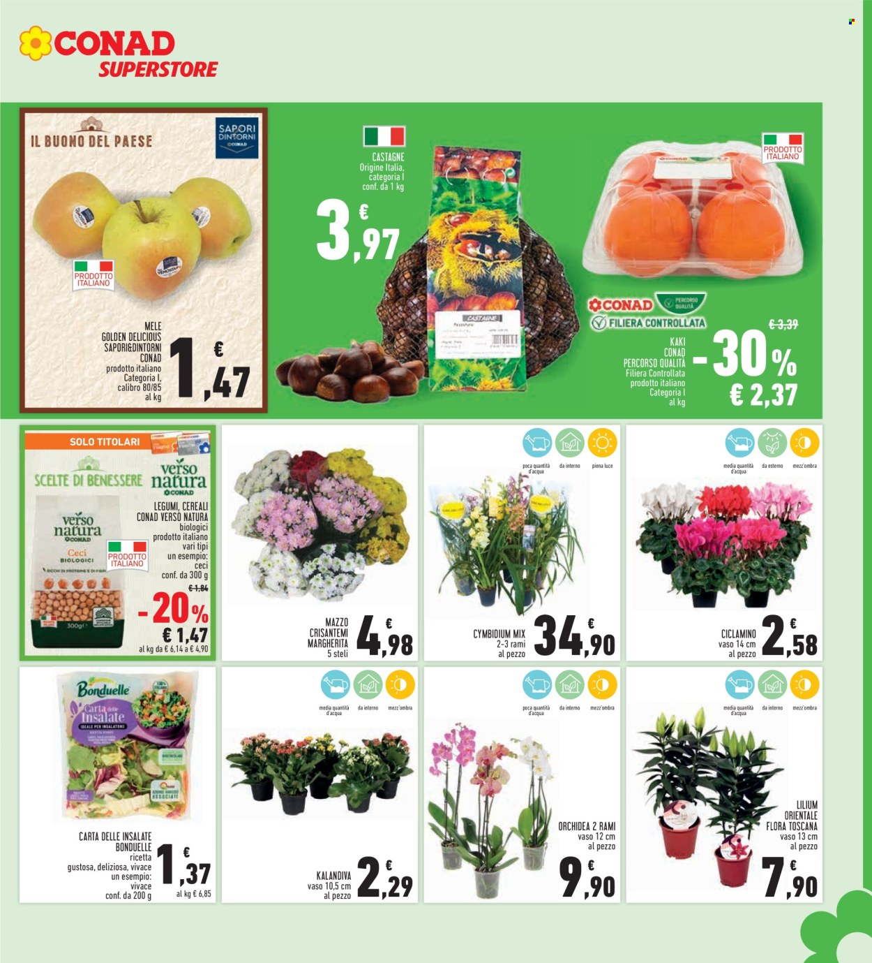 Volantino Conad Superstore - 23/10/2025 - 5/11/2025. Pagina 7