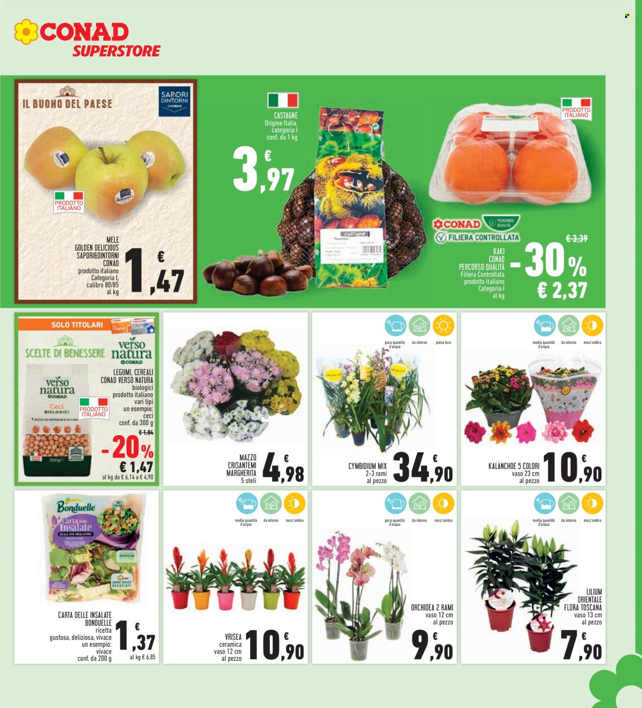 Volantino Conad Superstore - 23/10/2025 - 5/11/2025. Pagina 7