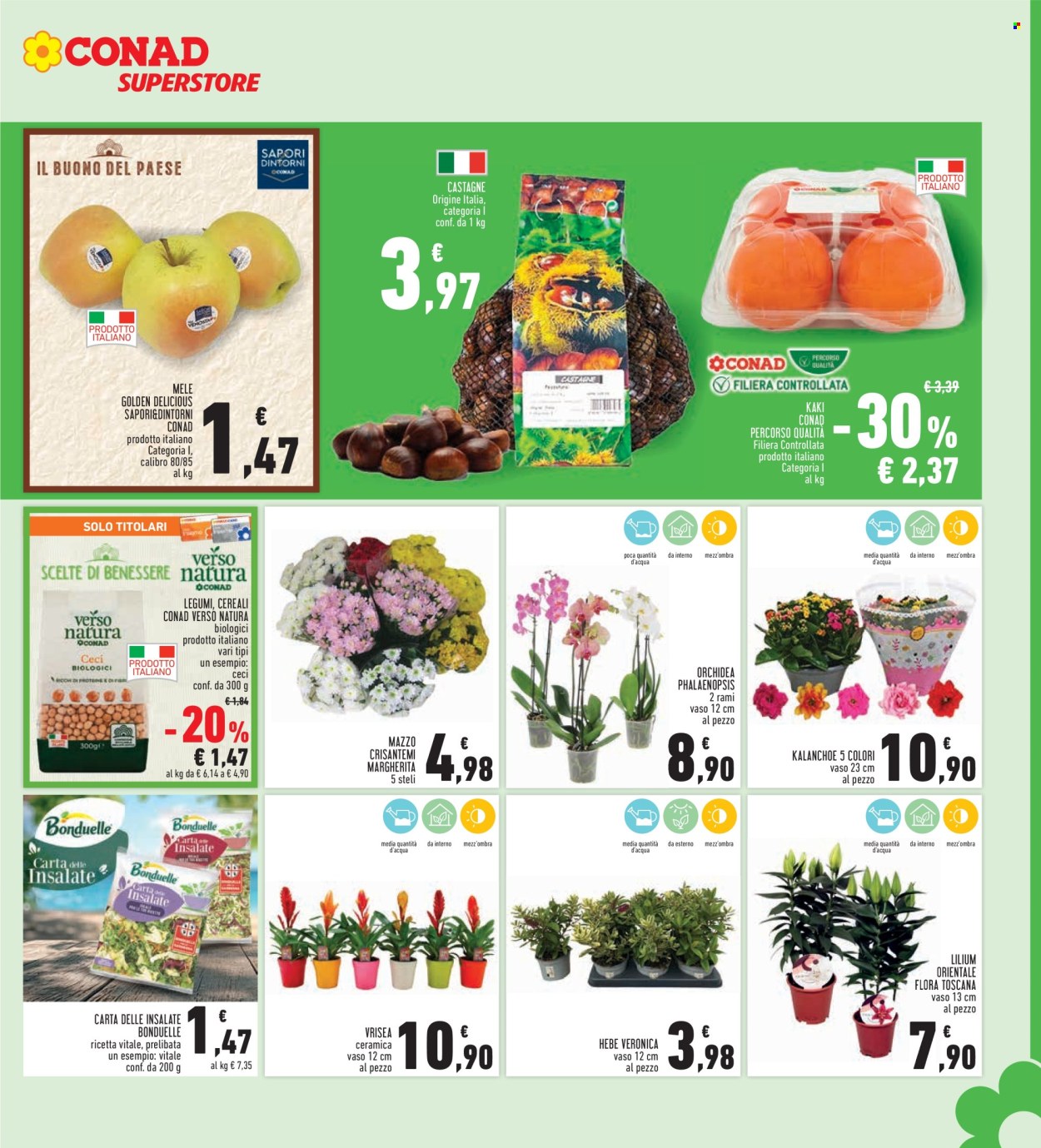 Volantino Conad - 23/10/2025 - 5/11/2025. Pagina 7