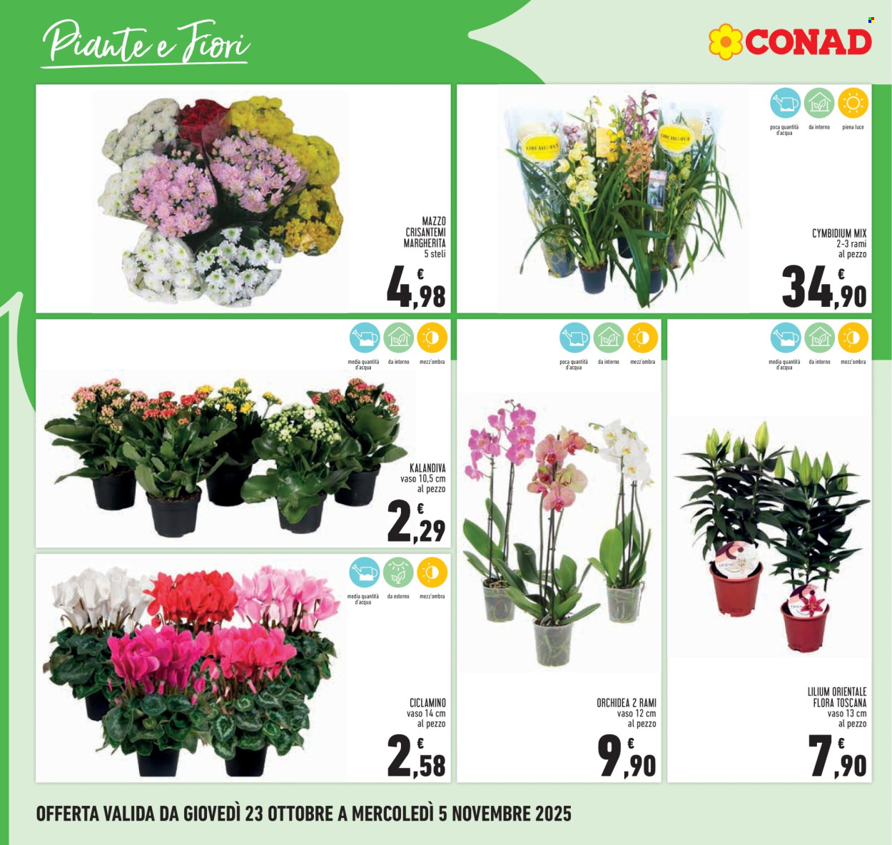 Volantino Conad - 23/10/2025 - 5/11/2025. Pagina 26