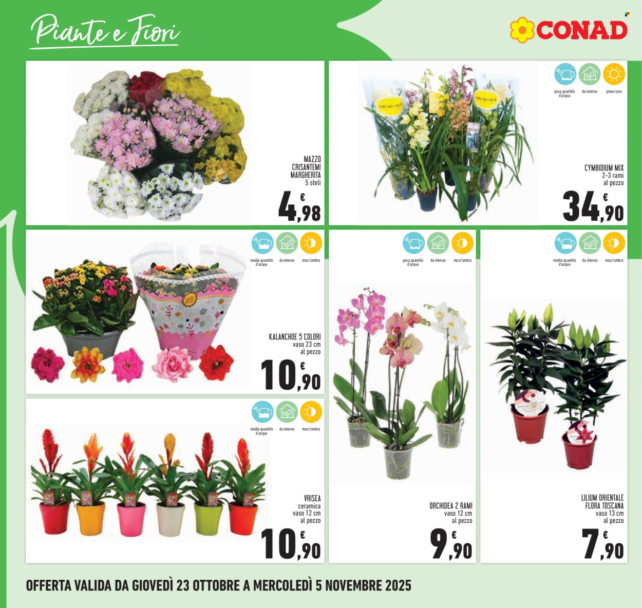 Volantino Conad - 23/10/2025 - 5/11/2025. Pagina 26