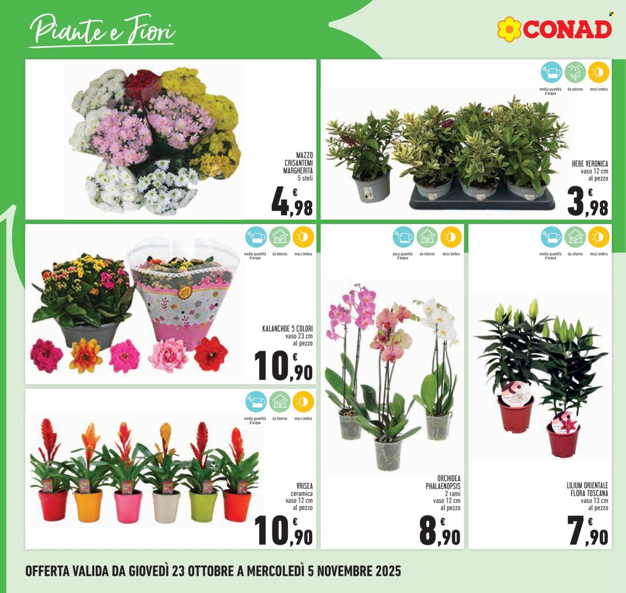Volantino Conad - 23/10/2025 - 5/11/2025. Pagina 26