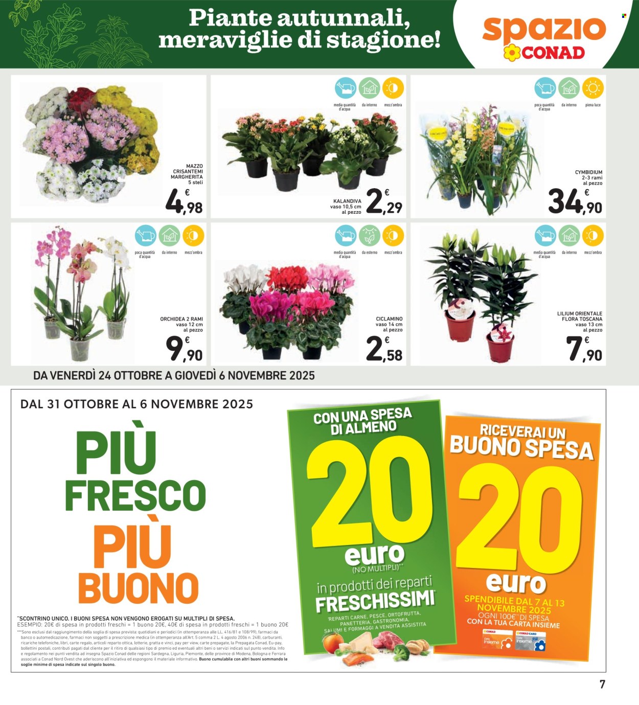 Volantino Spazio Conad - 24/10/2025 - 6/11/2025. Pagina 7