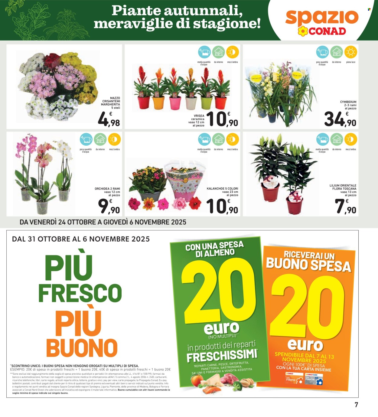 Volantino Spazio Conad - 24/10/2025 - 6/11/2025. Pagina 7