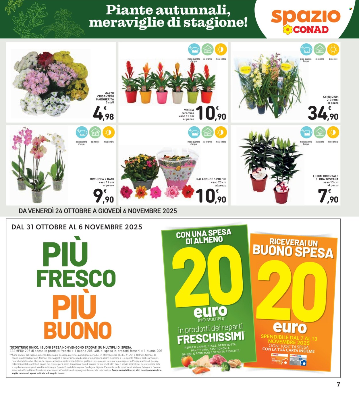 Volantino Spazio Conad - 24/10/2025 - 6/11/2025. Pagina 7