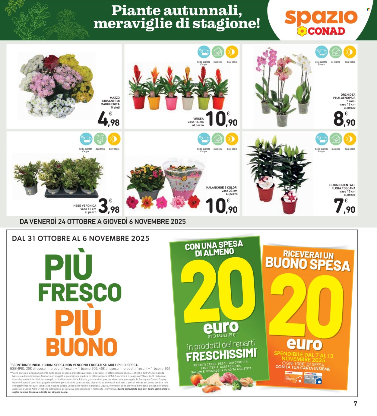 Volantino Spazio Conad - 24/10/2025 - 6/11/2025. Pagina 7