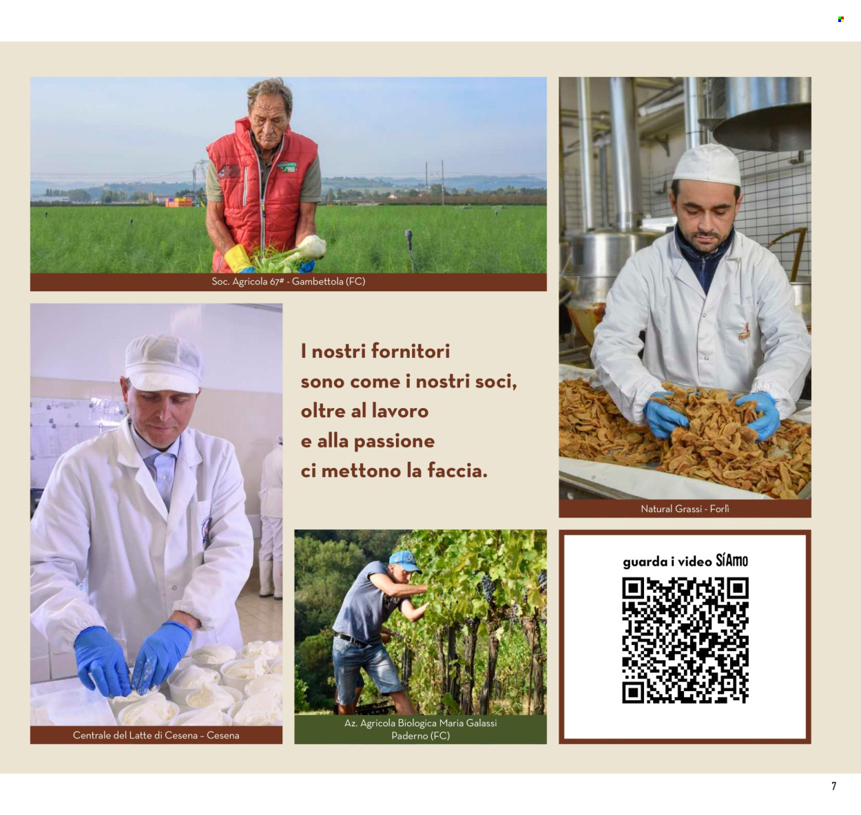 Volantino Conad - 25/10/2025 - 2/11/2025. Pagina 7