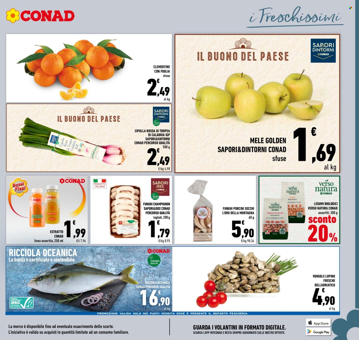 Volantino Conad - 25/10/2025 - 2/11/2025. Pagina 17