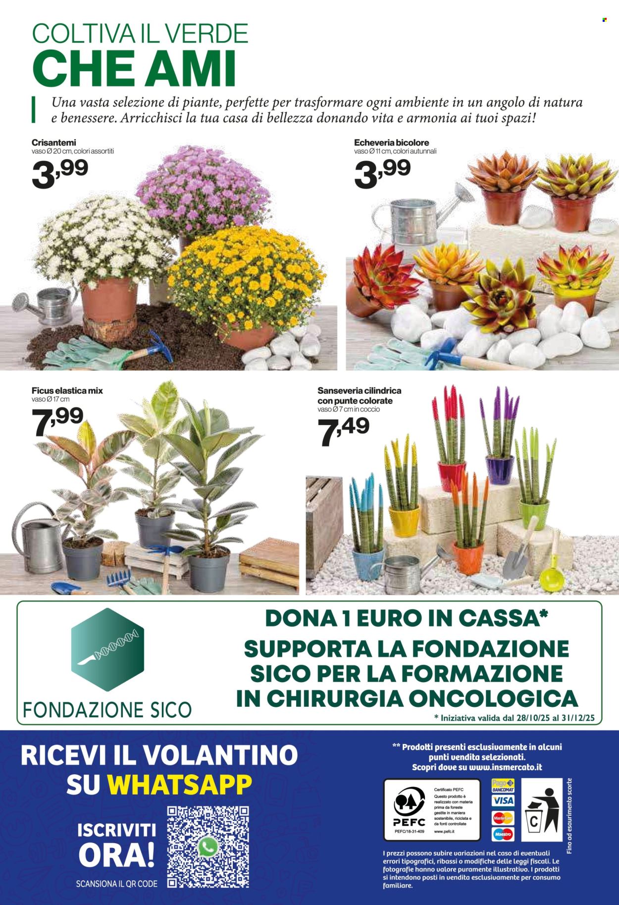 Volantino iN's Mercato - 22/10/2025 - 2/11/2025. Pagina 24