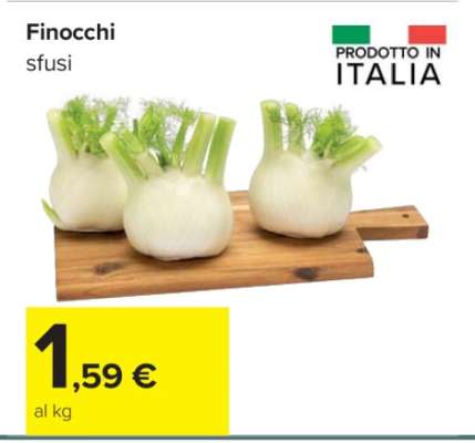 Finocchi