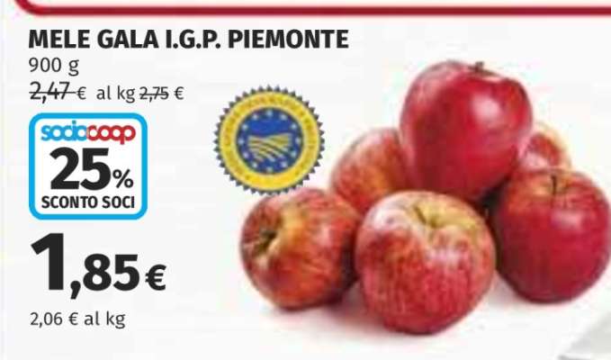 MELE GALA I.G.P. PIEMONTE