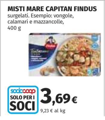 MISTI MARE CAPITAN FINDUS