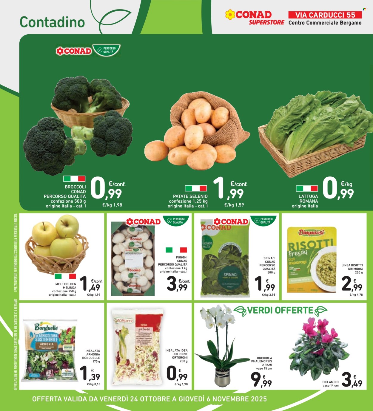 Volantino Conad Superstore - 24/10/2025 - 6/11/2025. Pagina 12
