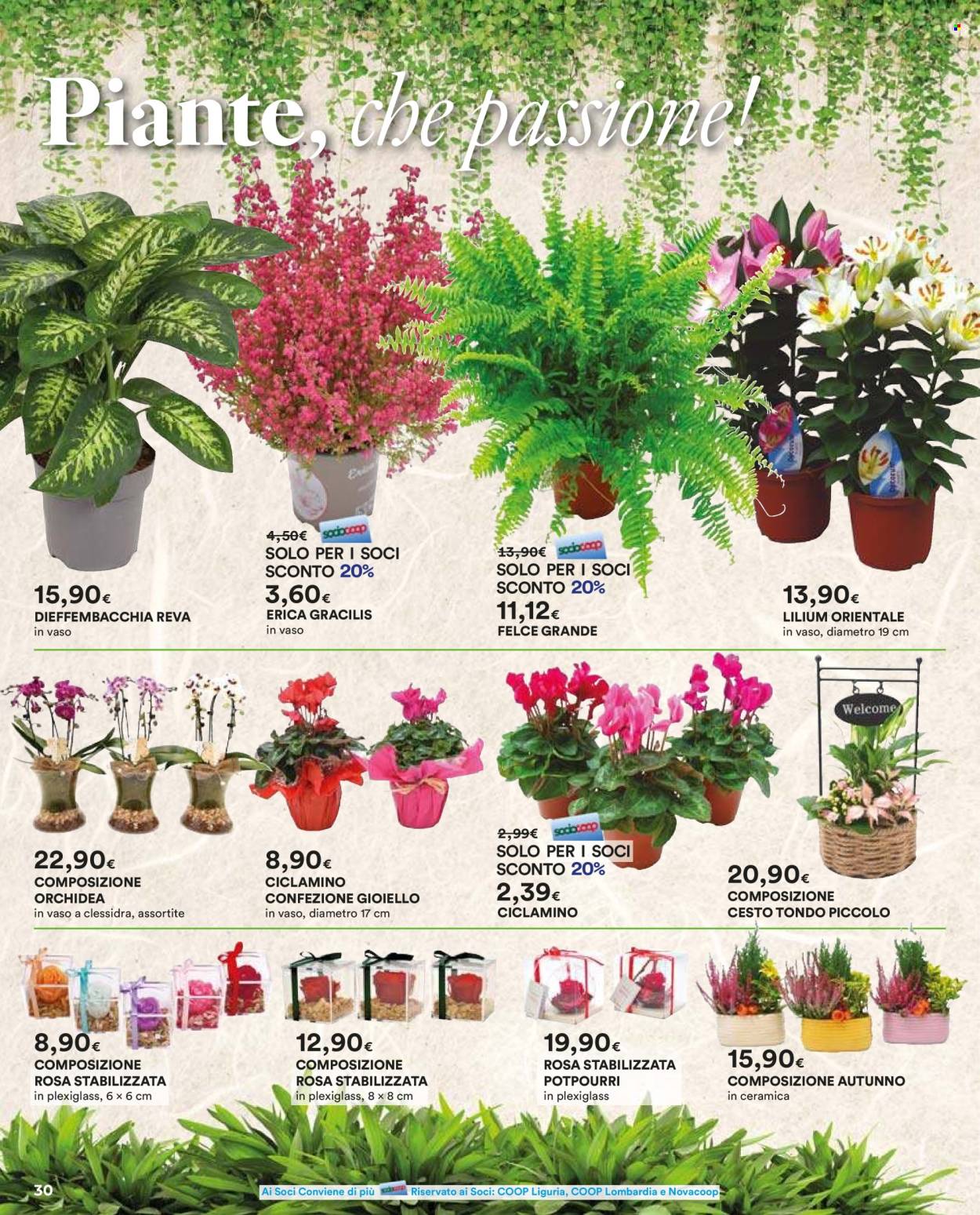 Volantino Coop - 16/10/2025 - 12/11/2025. Pagina 30