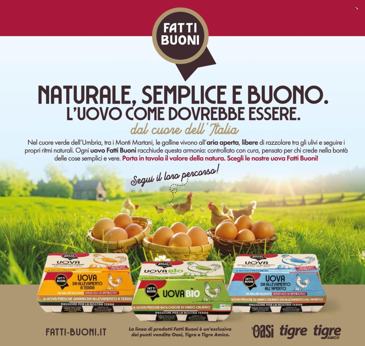 Volantino Oasi - 23/10/2025 - 5/11/2025. Pagina 14