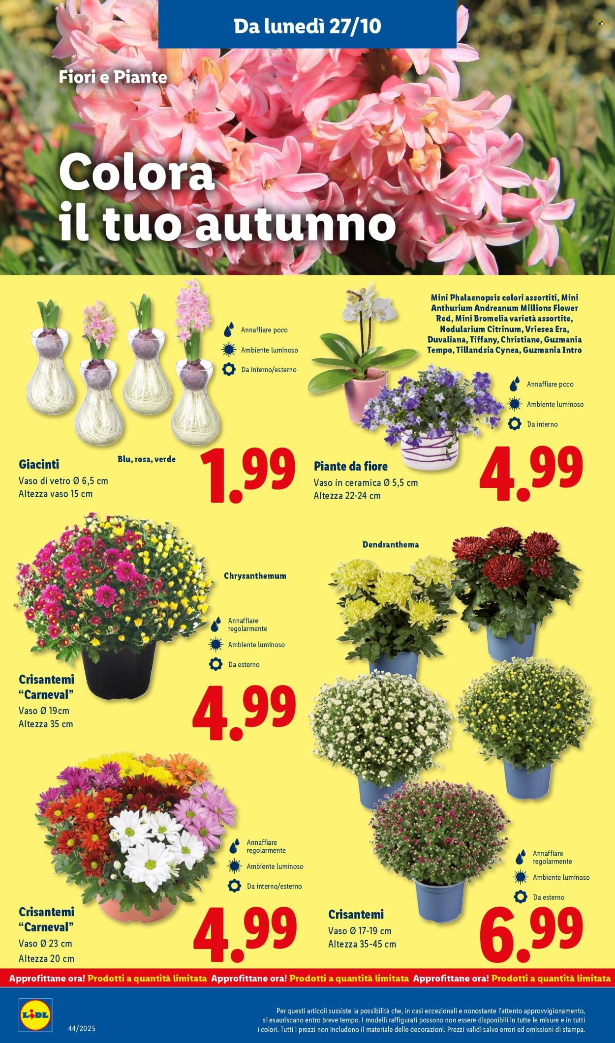 Volantino Lidl - 27/10/2025 - 2/11/2025. Pagina 42