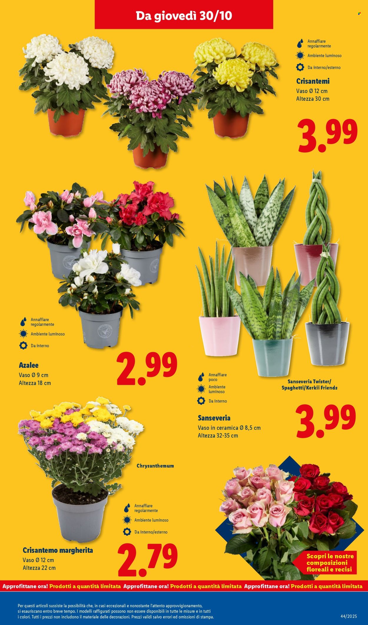 Volantino Lidl - 27/10/2025 - 2/11/2025. Pagina 43