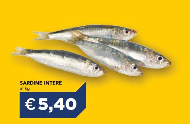 SARDINE INTERE