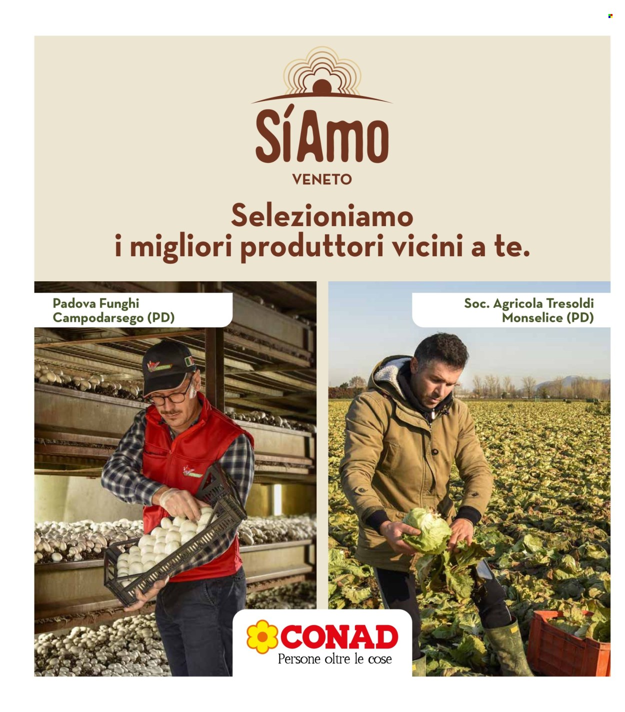 Volantino Spazio Conad - 24/10/2025 - 6/11/2025. Pagina 34