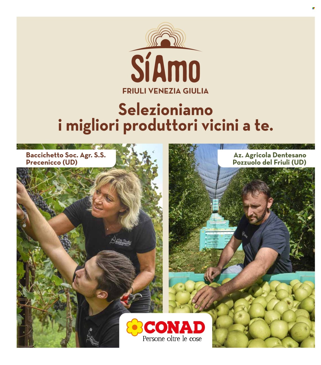 Volantino Spazio Conad - 24/10/2025 - 6/11/2025. Pagina 34