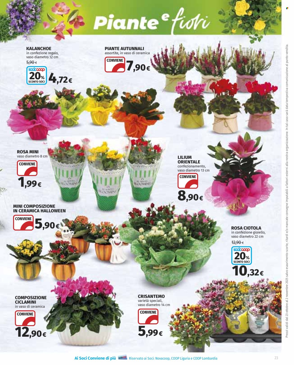 Volantino Coop - 23/10/2025 - 5/11/2025. Pagina 23