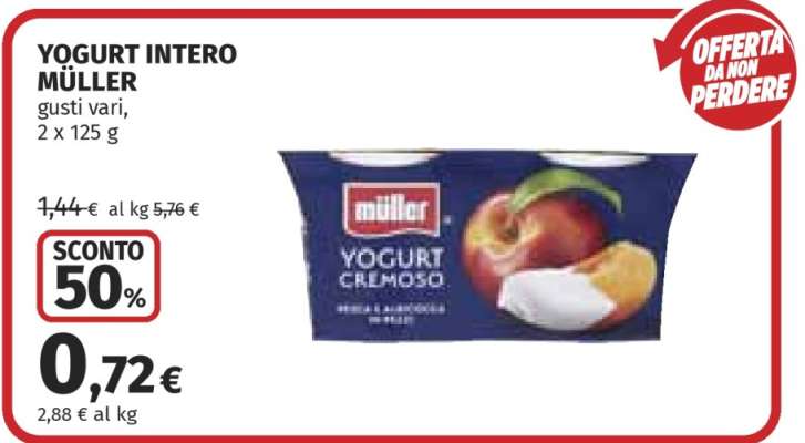 Yogurt Intero Müller
