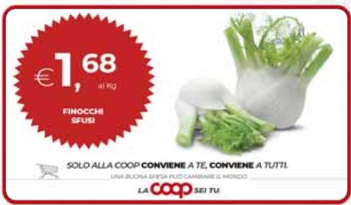 Finocchi Sfusi