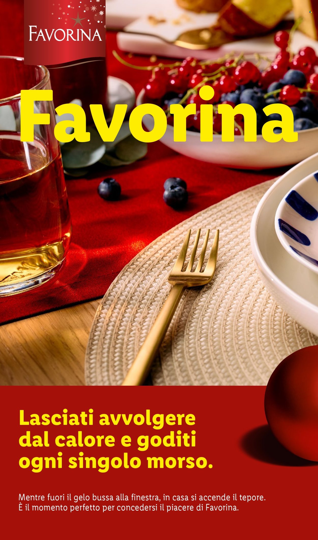 Volantino Lidl. Pagina 44