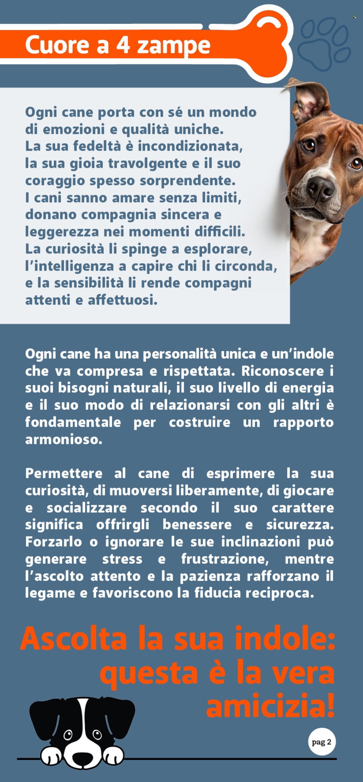 Volantino Famila - 24/10/2025 - 9/11/2025. Pagina 2