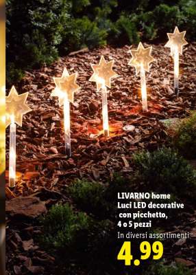 LIVARNO home Luci LED decorative con picchetto