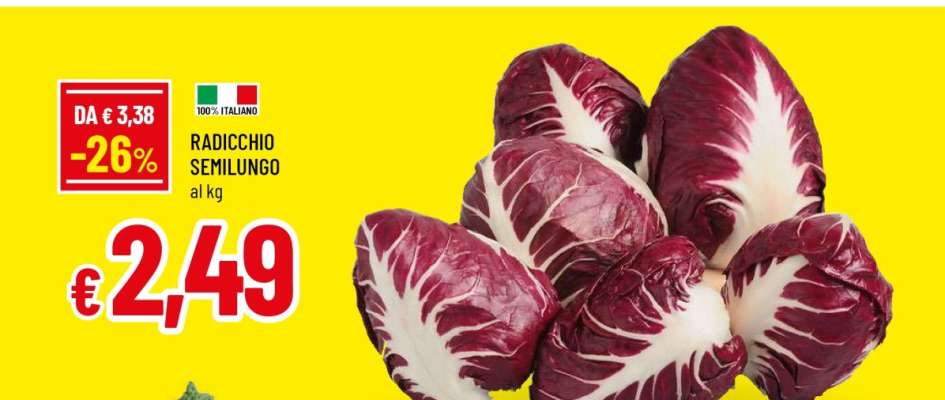 Radicchio Semilungo