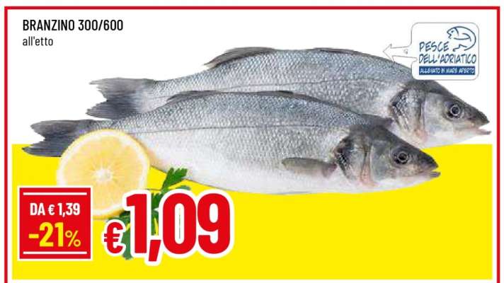 BRANZINO 300/600