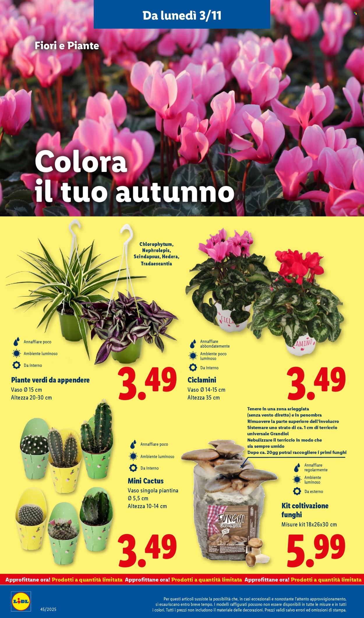 Volantino Lidl - 3/11/2025 - 9/11/2025. Pagina 42