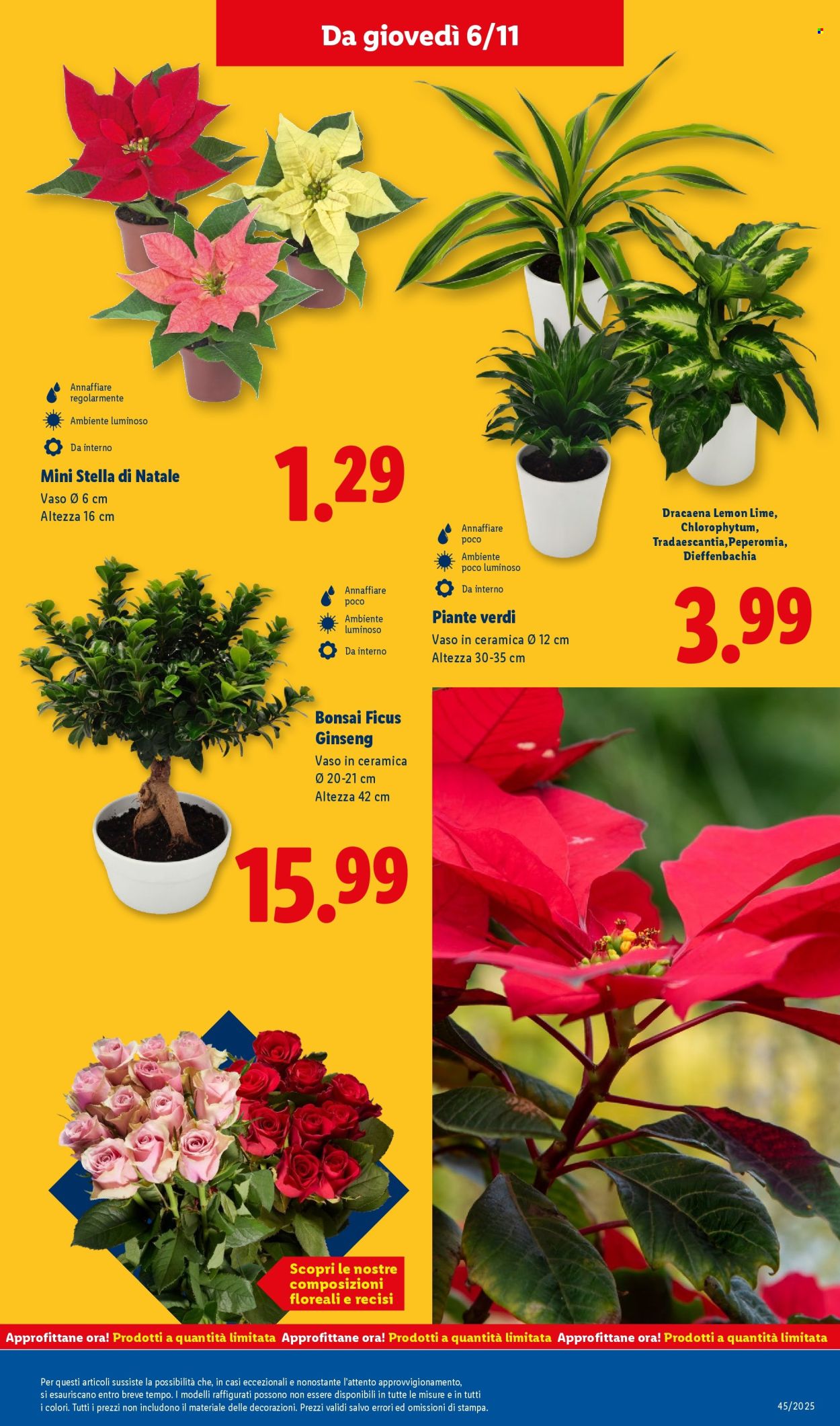 Volantino Lidl - 3/11/2025 - 9/11/2025. Pagina 43