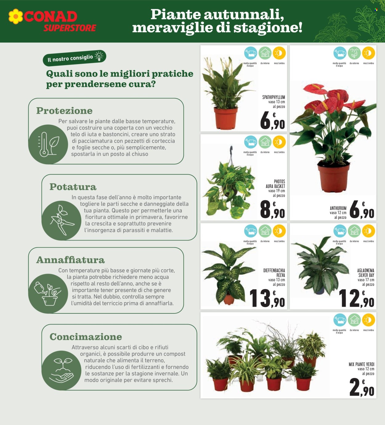 Volantino Conad - 6/11/2025 - 18/11/2025. Pagina 7