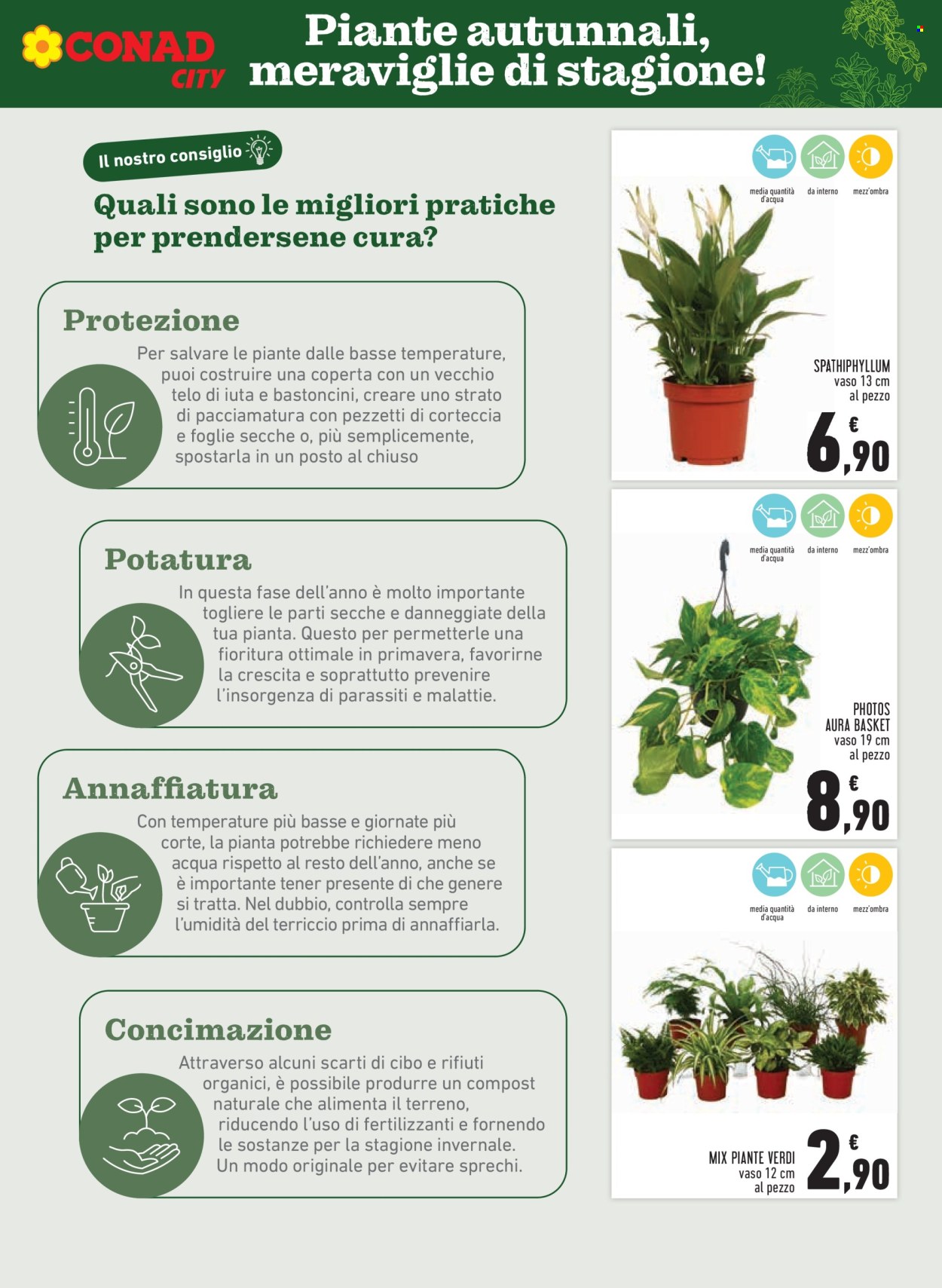 Volantino Conad - 6/11/2025 - 19/11/2025. Pagina 7