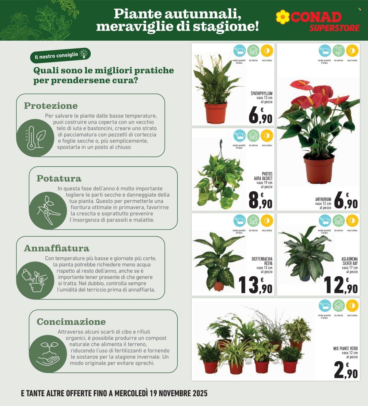 Volantino Conad Superstore - 6/11/2025 - 19/11/2025. Pagina 10