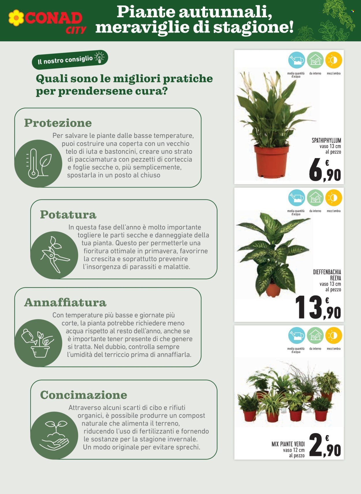 Volantino Conad - 6/11/2025 - 19/11/2025. Pagina 7