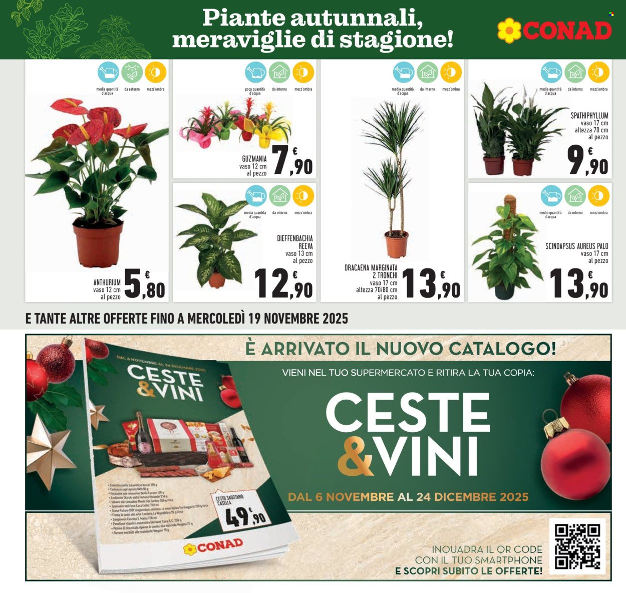 Volantino Conad - 6/11/2025 - 19/11/2025. Pagina 10