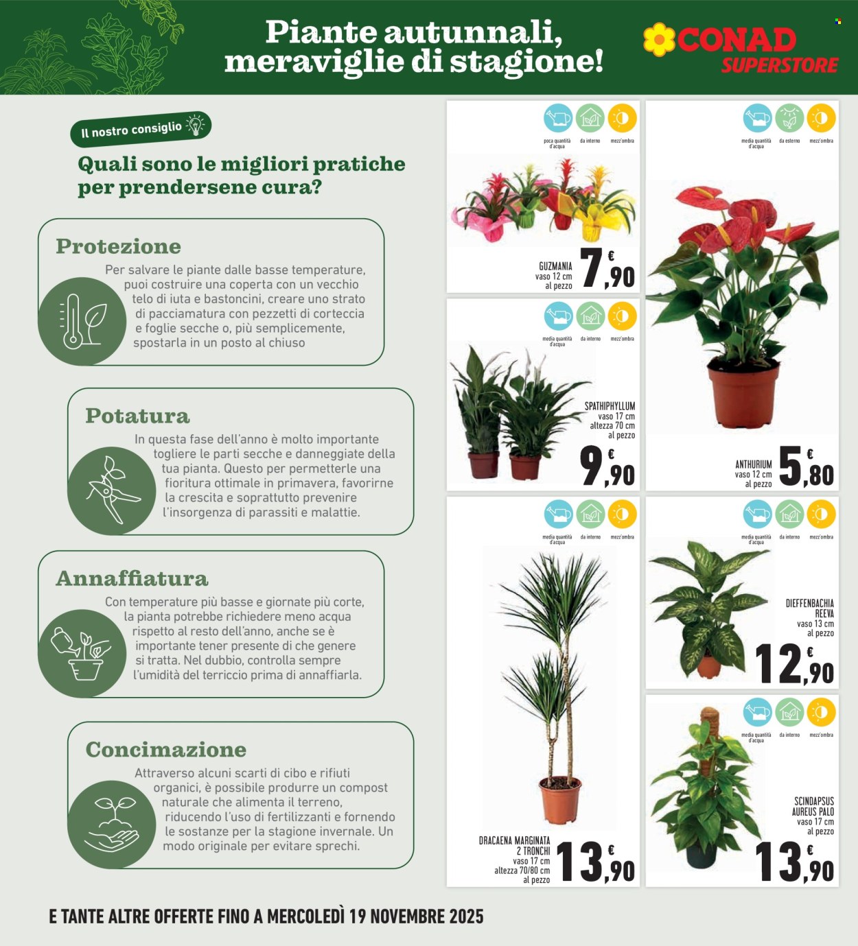 Volantino Conad - 6/11/2025 - 19/11/2025. Pagina 10