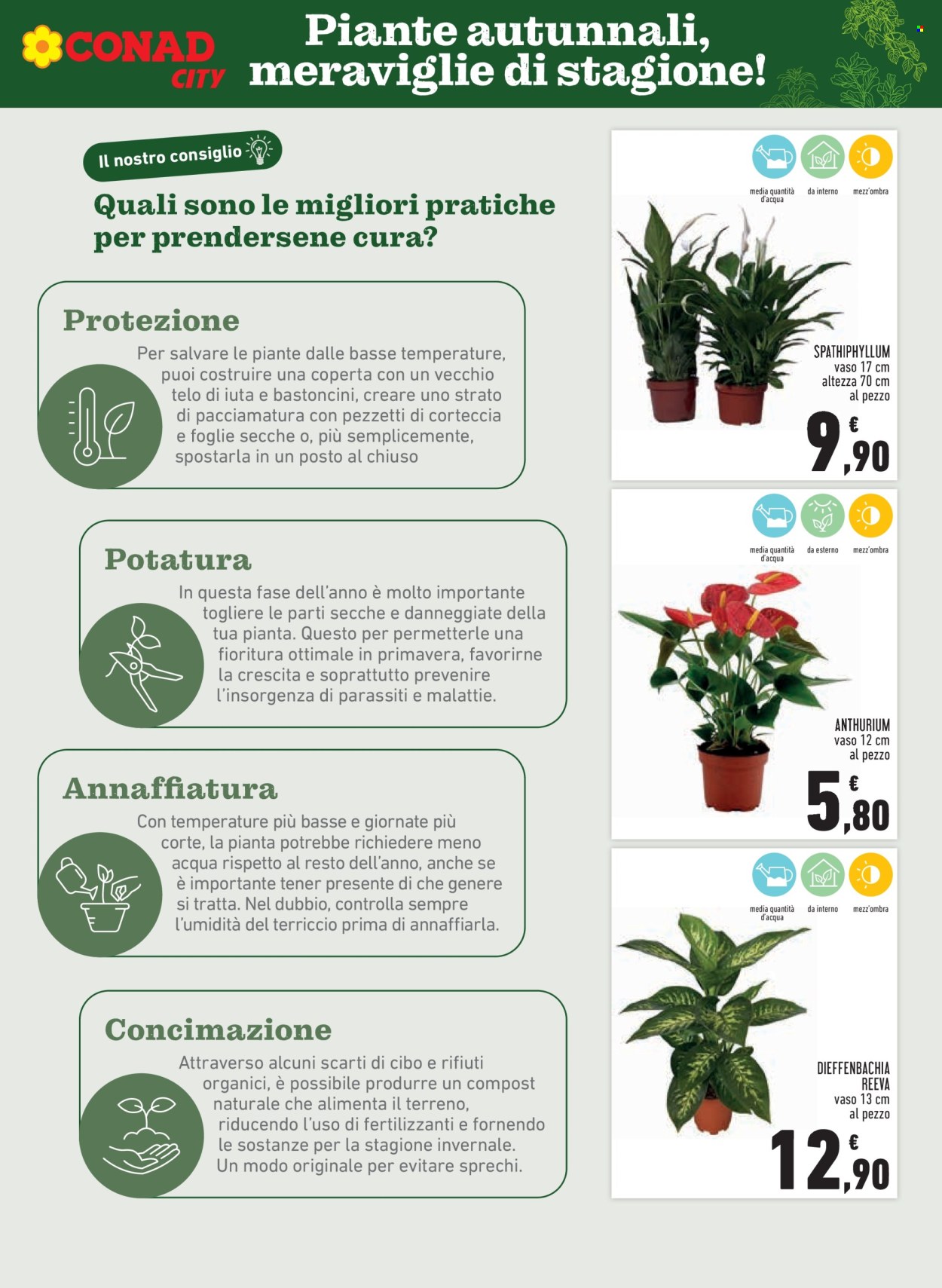 Volantino Conad - 6/11/2025 - 19/11/2025. Pagina 7